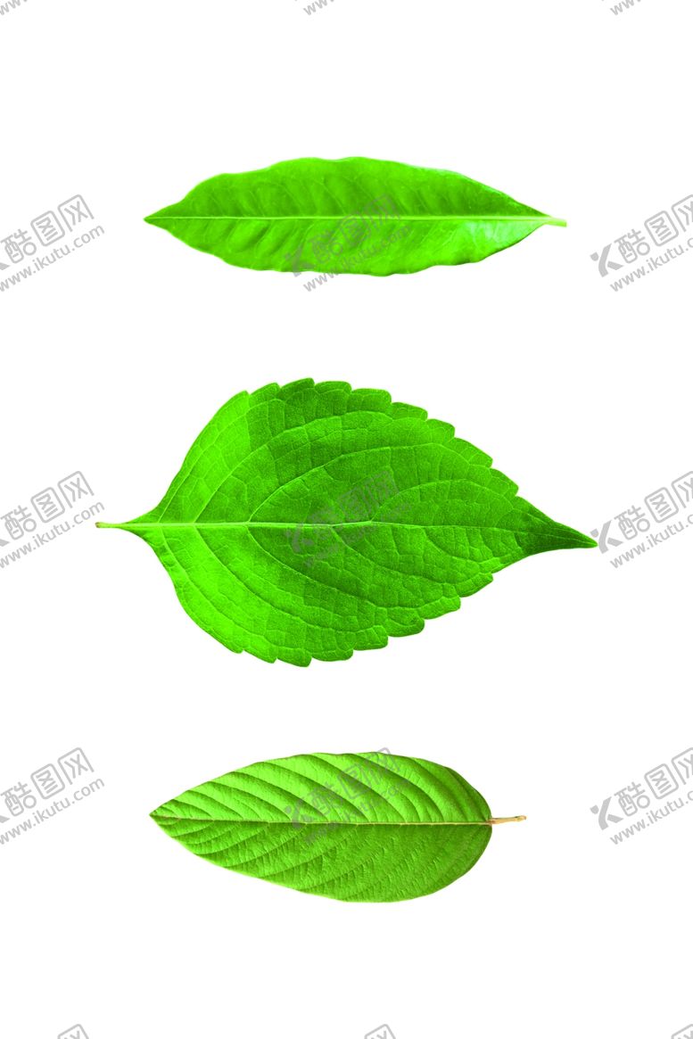 编号：77850609201230416896【酷图网】源文件下载-背景墙装饰画