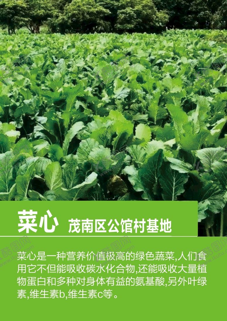 编号：64363301170549384594【酷图网】源文件下载-扶贫产品