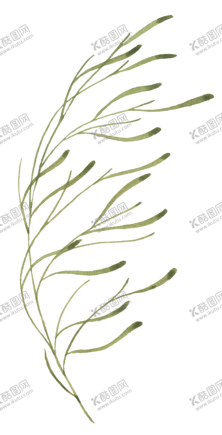 编号：77121309201613211968【酷图网】源文件下载-手绘植物花卉