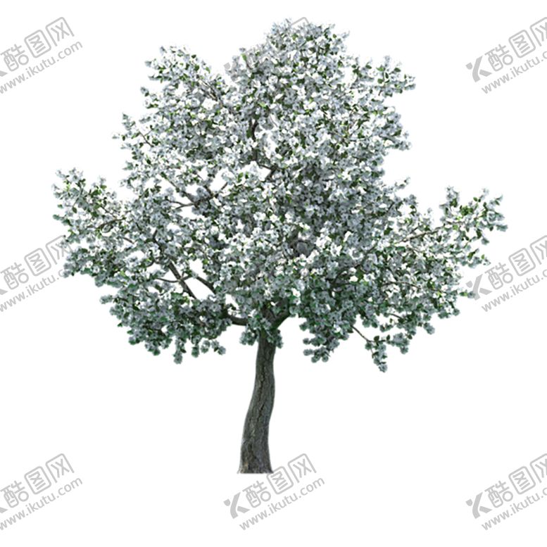 编号：37193507030220073131【酷图网】源文件下载-植物