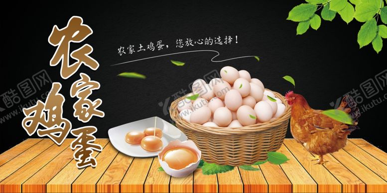 编号：18920310152205178778【酷图网】源文件下载-鸡蛋海报