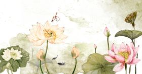 古画蜻蜓点水荷花池塘