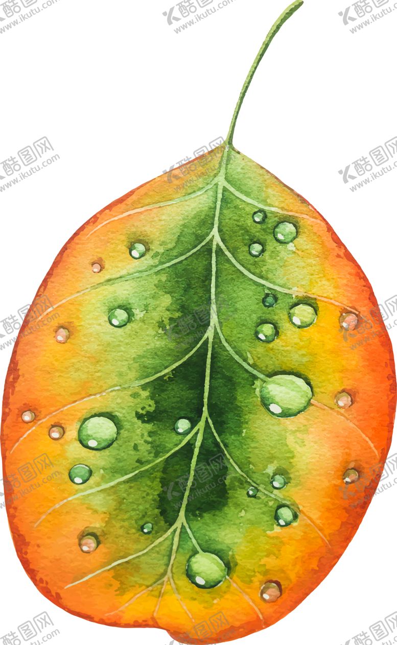 编号：79435709220113233243【酷图网】源文件下载-水彩植物