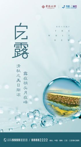 创意中式房地产落叶白露节气海报