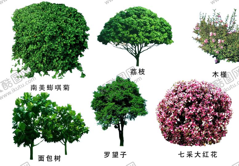 编号：45187206281819041993【酷图网】源文件下载-绿色装饰
