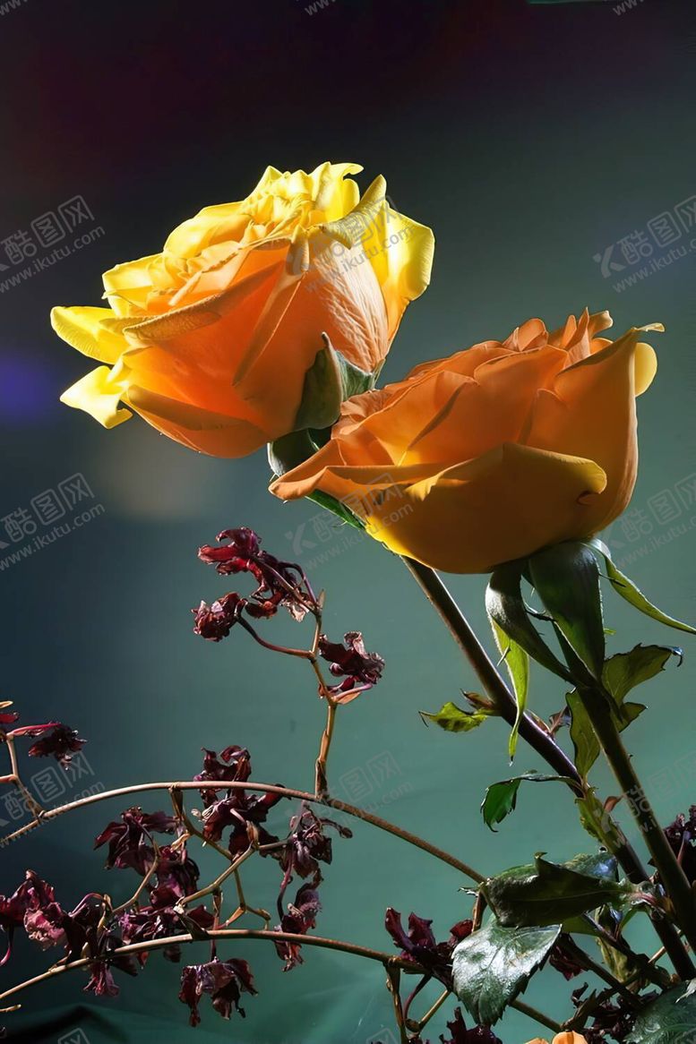 编号：43740711260537007381【酷图网】源文件下载-束花花卉枝叶意境