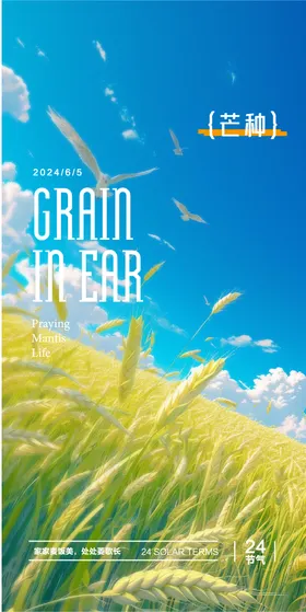 芒种海报