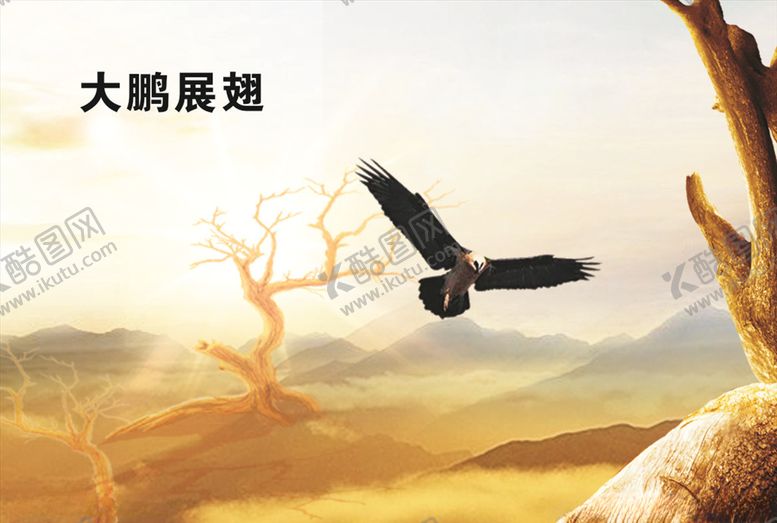编号：75331307030509287470【酷图网】源文件下载-大鹏展翅