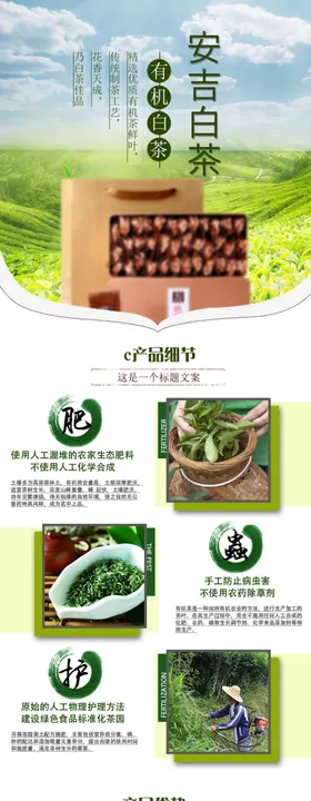 茶叶详情页绿茶绿色素材淘宝天猫模板面背景