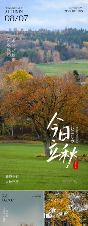 立秋白露秋分系列海报