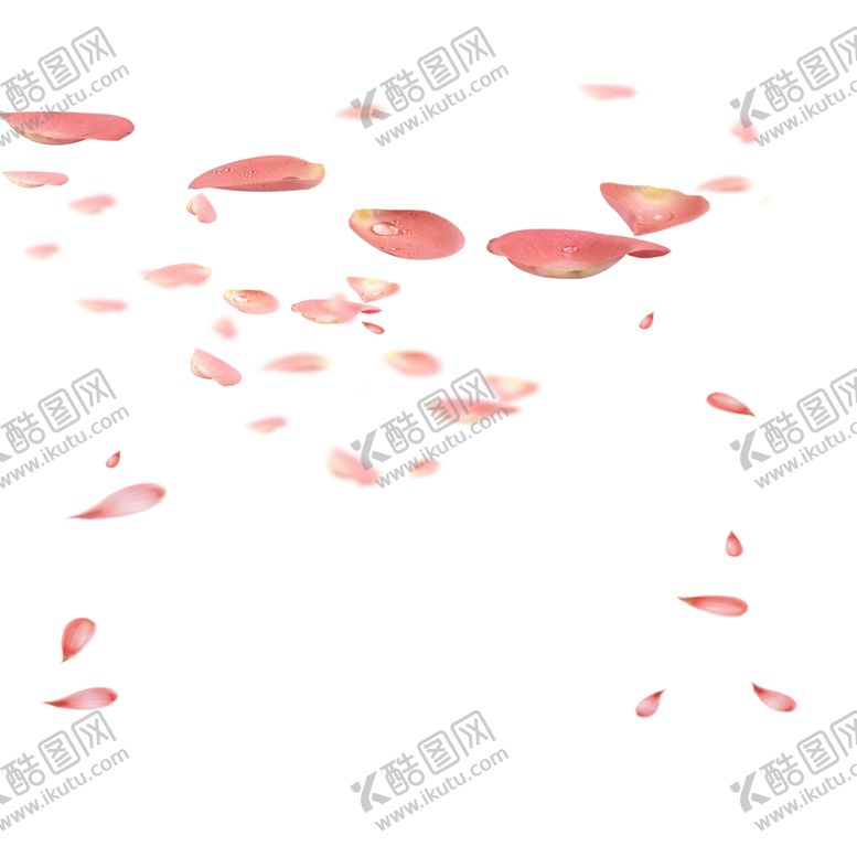 编号：82854406241210053933【酷图网】源文件下载-手绘植物花卉