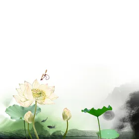 荷花素材叶插画手绘古风夏至国潮