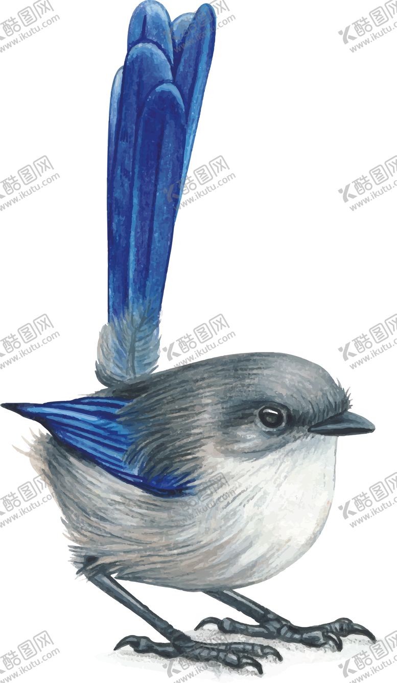 编号：78491309102336266497【酷图网】源文件下载-小鸟插画