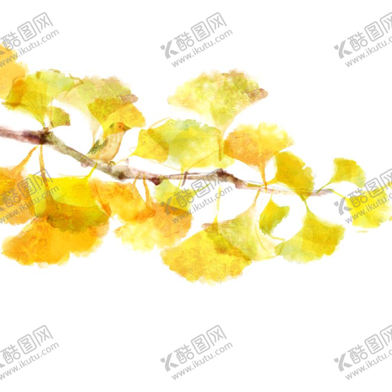 编号：47844505020240094052【酷图网】源文件下载-秋天银杏叶