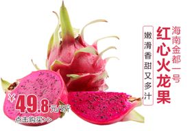 京都一号红心火龙果推广图