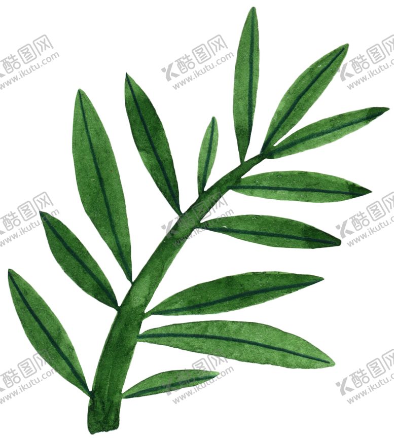 编号：34294610251200006501【酷图网】源文件下载-手绘植物叶片