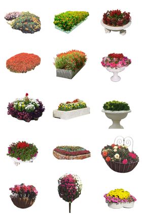 花坛素材