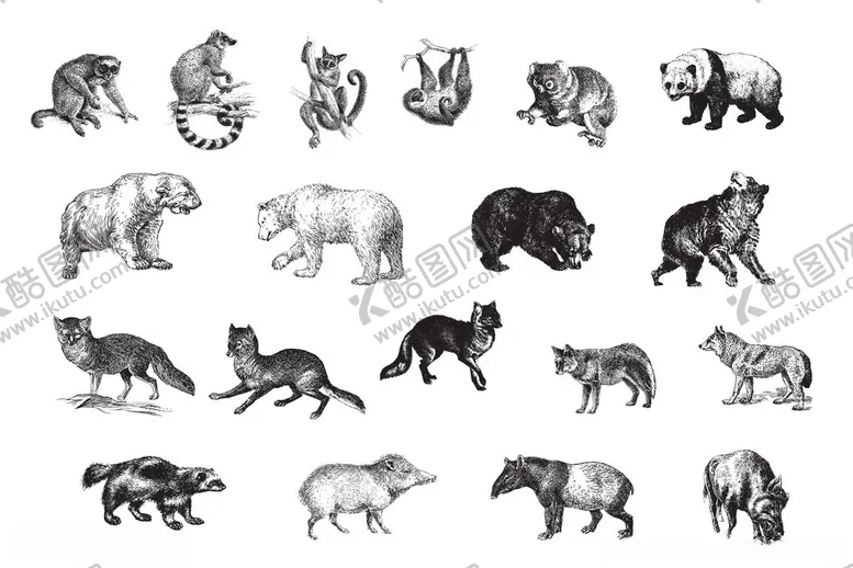 编号：69546002190936055130【酷图网】源文件下载-风格野生动物插画矢量