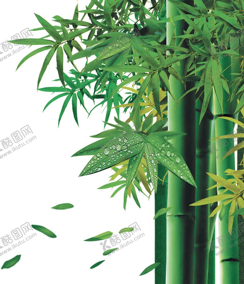 编号：19265409271331063095【酷图网】源文件下载-竹子竹叶