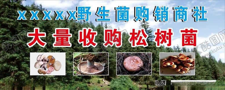 编号：39003903090129254489【酷图网】源文件下载-野生菌海报