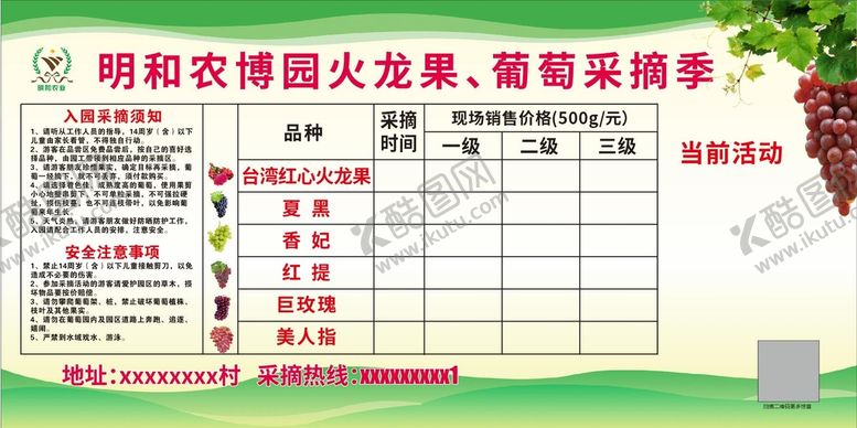 编号：70178002101658472907【酷图网】源文件下载-葡萄展板  采摘须知