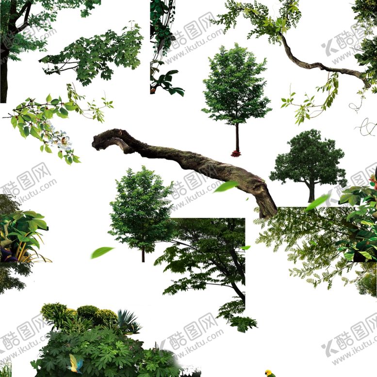 编号：27078210141301364684【酷图网】源文件下载-树木
