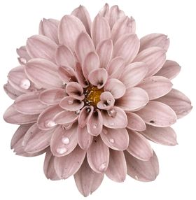 暗黑哥特风装饰花朵