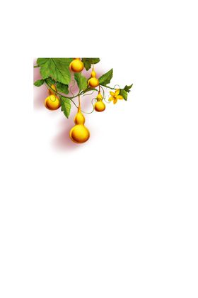 五福临门金葫芦装饰画