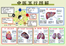 中医五行脏腑图解