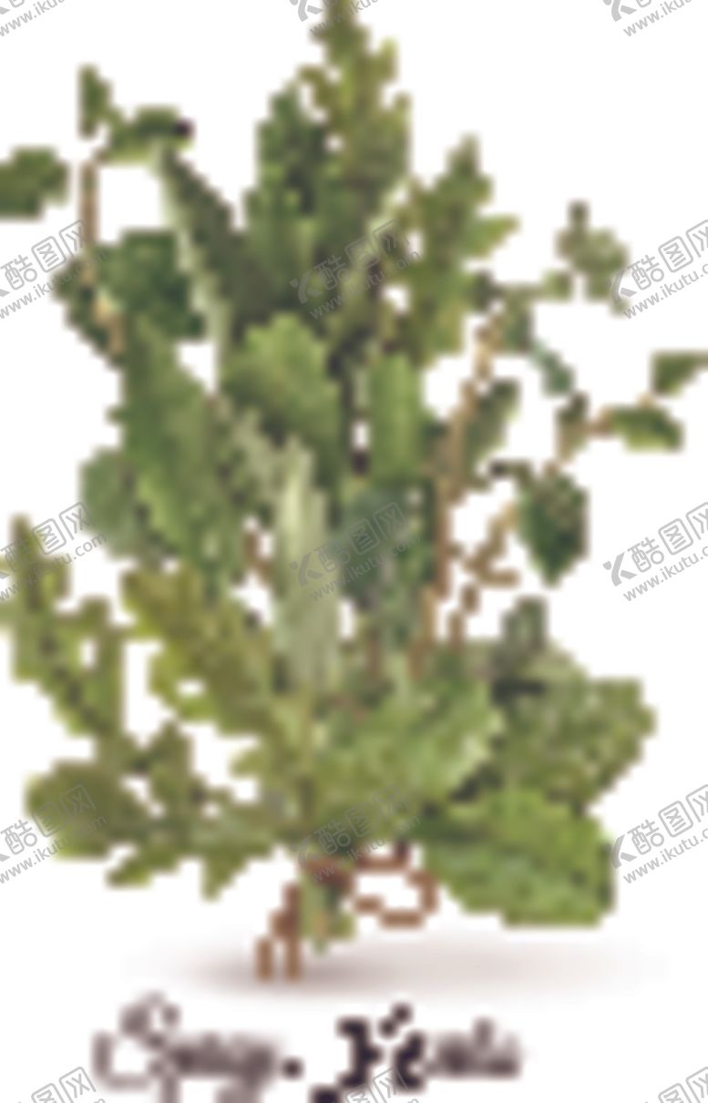 编号：97683610202040385422【酷图网】源文件下载-蔬菜