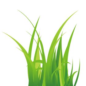 植物