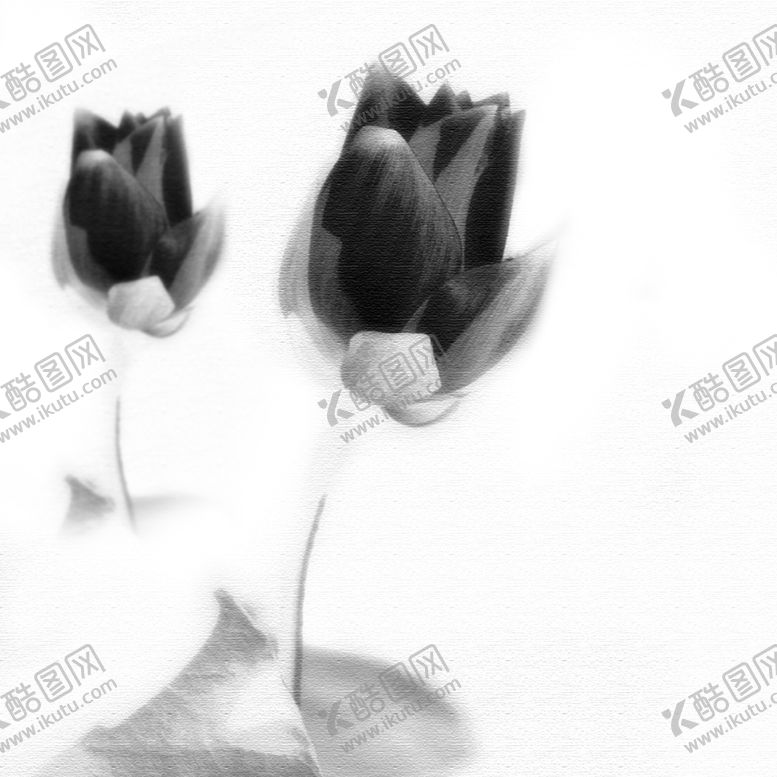 编号：60252707010807289405【酷图网】源文件下载-中国风水墨莲花插画