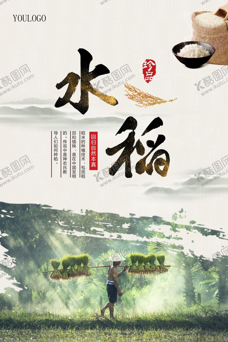编号：29868106290405033923【酷图网】源文件下载-水稻