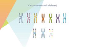 细胞生物学和组织学医疗插画医素材医元素