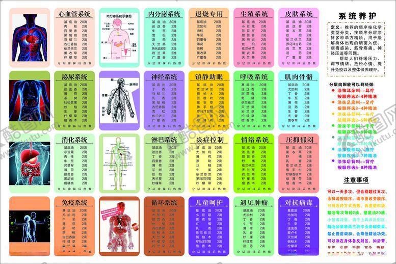 编号：15612104051210537160【酷图网】源文件下载-精油