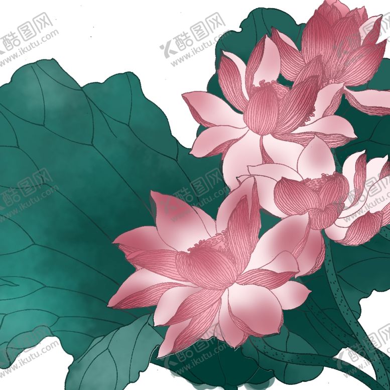 编号：52199109202130229892【酷图网】源文件下载-唯美莲花手绘