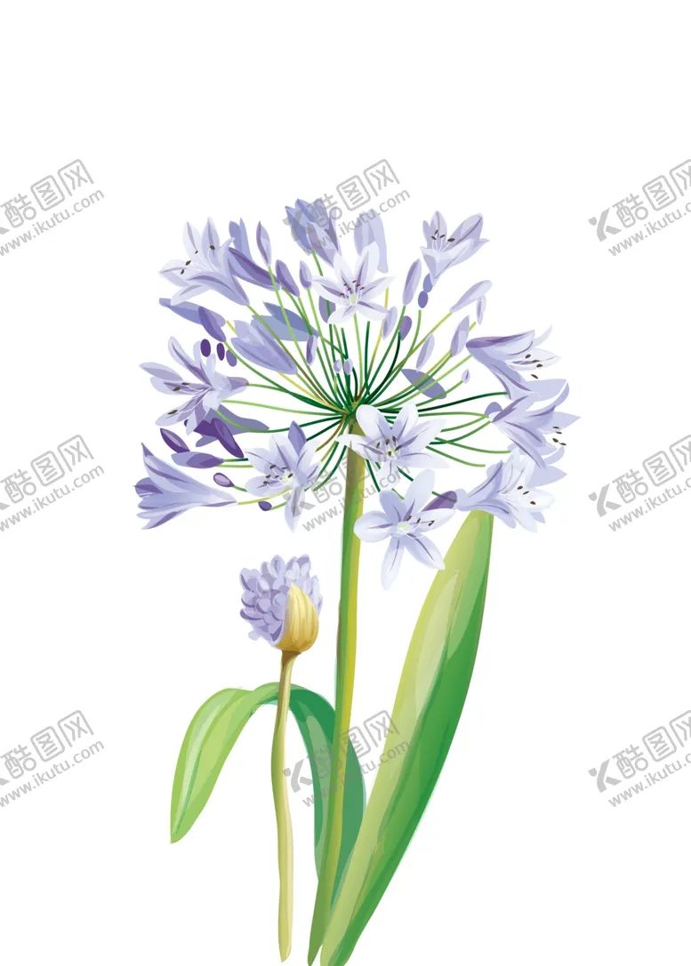 编号：15859306270230387342【酷图网】源文件下载-植物装饰画