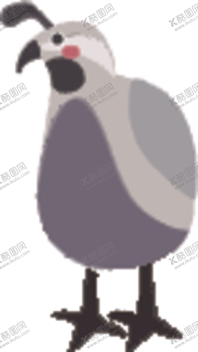 编号：24270109182229302079【酷图网】源文件下载-鸟类