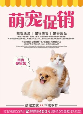 萌宠促销海报