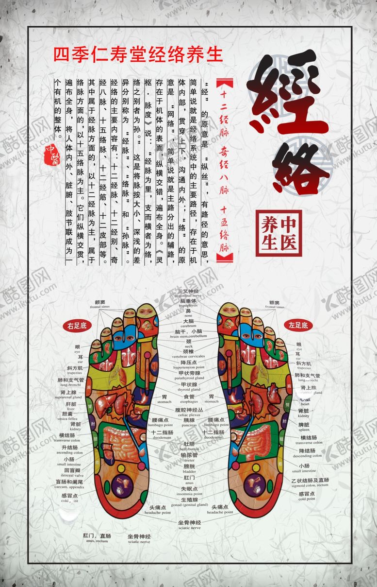 编号：98159007140201317689【酷图网】源文件下载-经络海报
