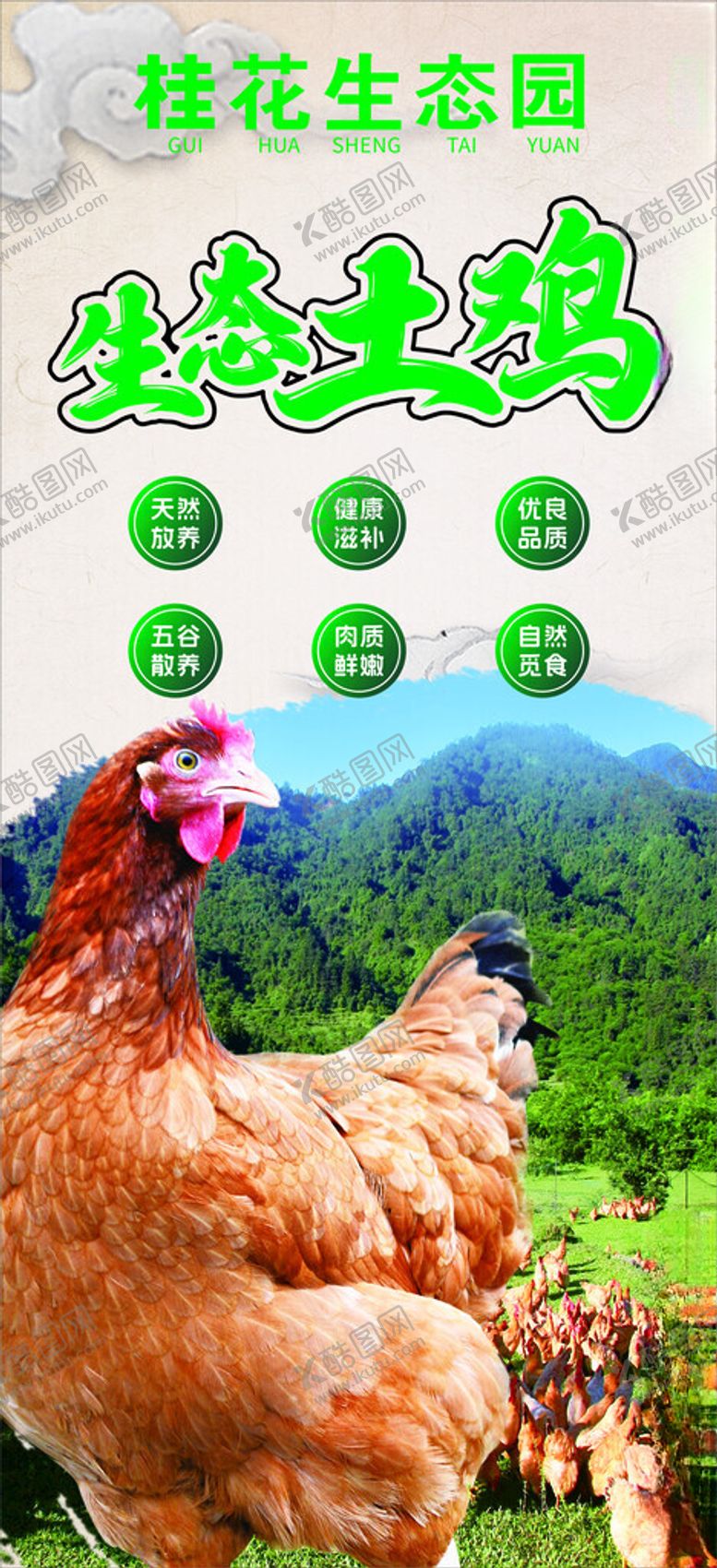 编号：83574801301231581798【酷图网】源文件下载-生态园生态土鸡