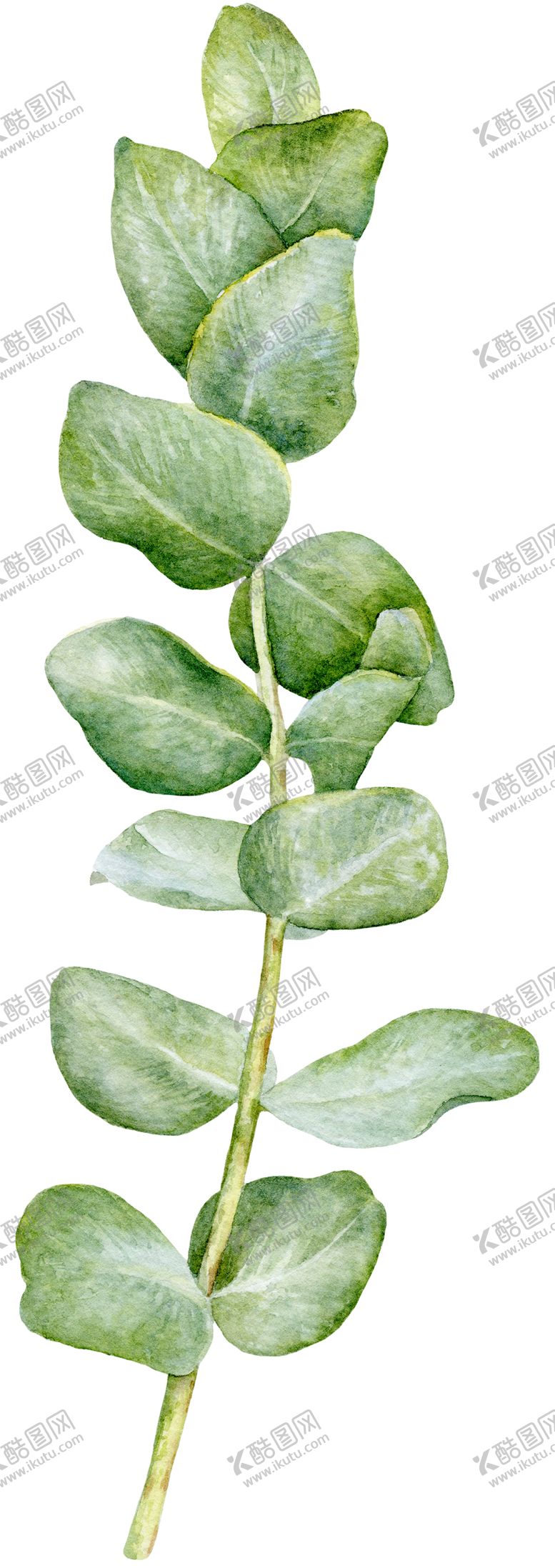 编号：26145310120642182991【酷图网】源文件下载-植物