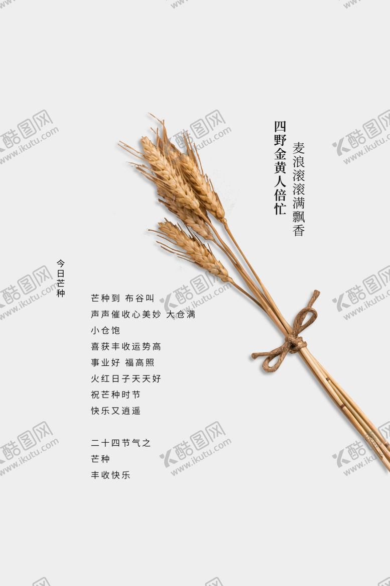 编号：28091209282051325270【酷图网】源文件下载-芒种海报