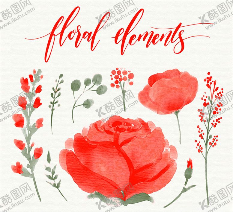 编号：48224909242314545964【酷图网】源文件下载-水彩绘红色玫瑰花卉和树叶矢量图