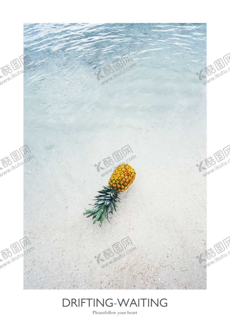 编号：27413609280004535631【酷图网】源文件下载-植物装饰画