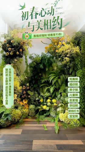 摄影春季直播间