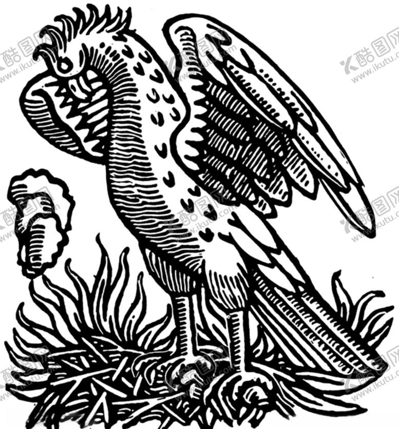 编号：19962409191400441164【酷图网】源文件下载-鹰巢巢穴复古欧式