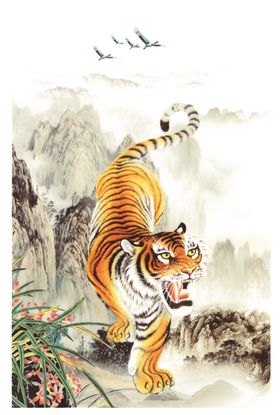 老虎