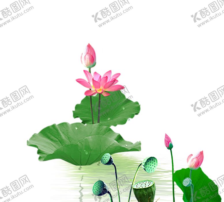 编号：43493009092049313150【酷图网】源文件下载-水墨