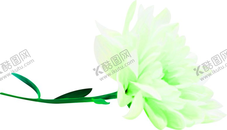 编号：59763209272029099586【酷图网】源文件下载-花素材